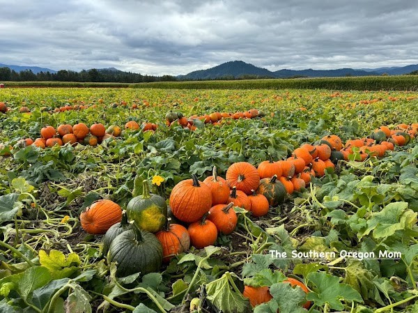 Fort Vannoy Farms