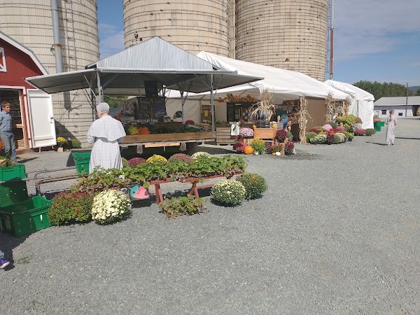 Roadside Farm Market