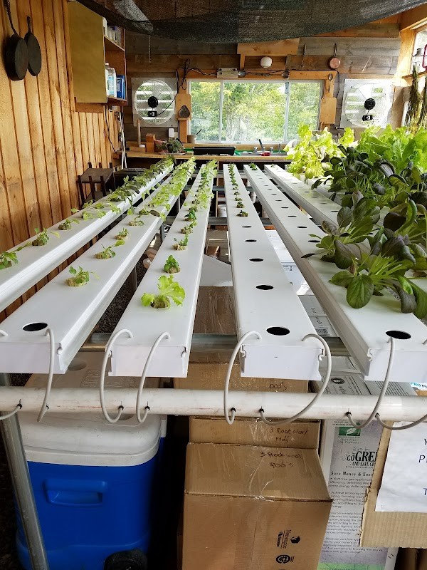 Top of the Mountain Vegetable Farm Stand