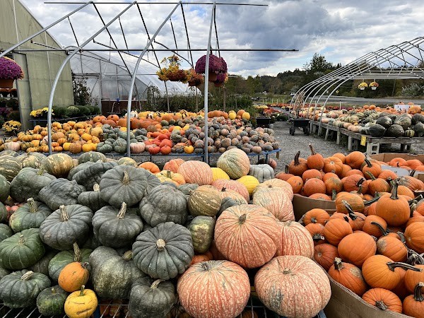 Gresczyk Farms