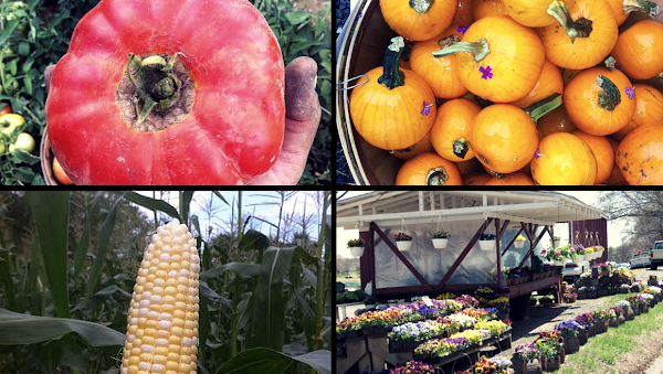 Gilbert Farm LLC