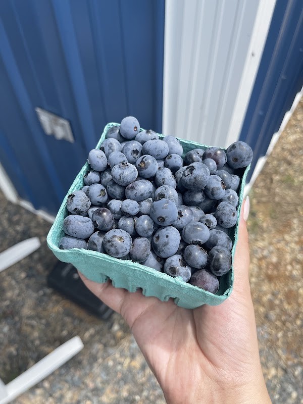 Flyte Family Farms