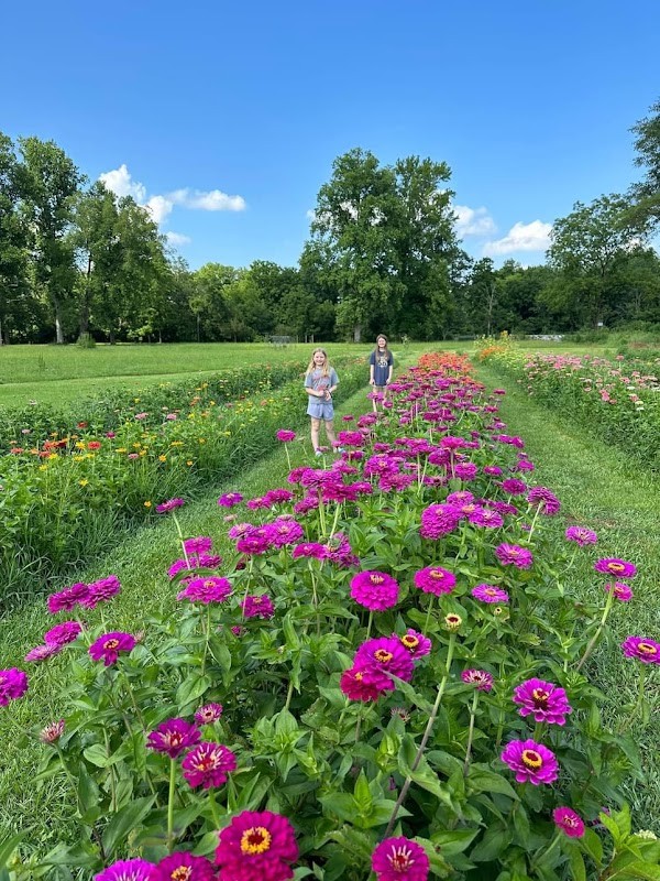 Bent Creek Farm