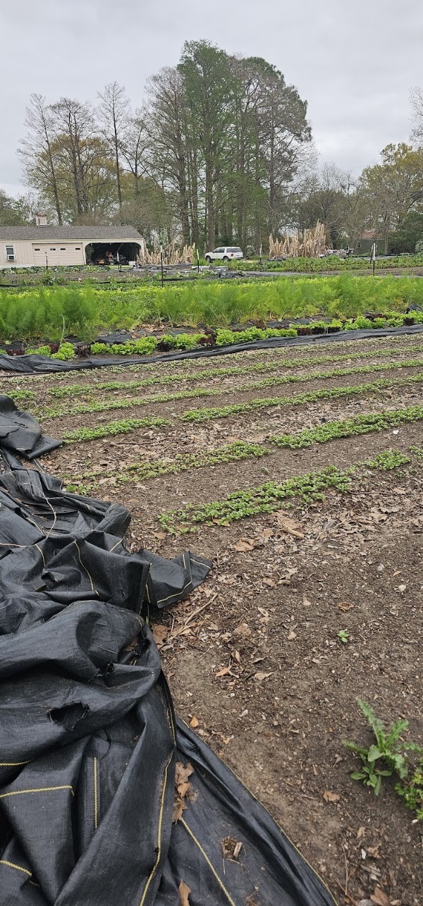 Fullness Organic Farm