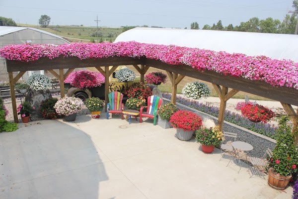 Schmaltz's Greenhouse