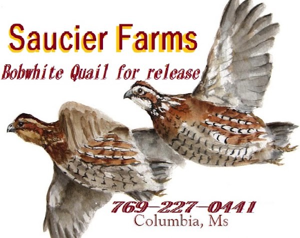 Saucier farms (Quail Farm) (Farm Stand)