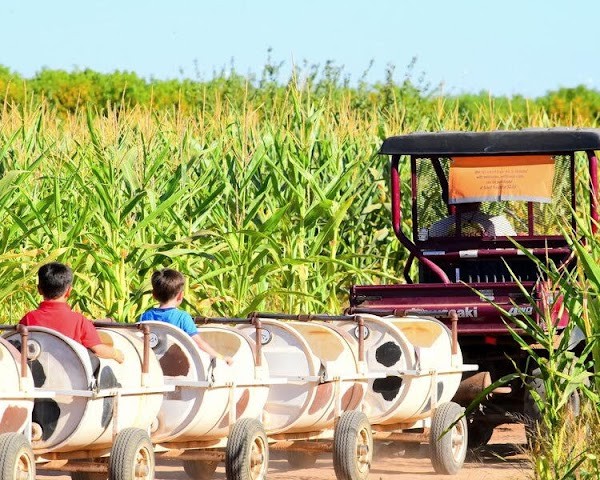 Vertuccio Farms