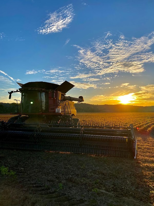 Triple R Farms