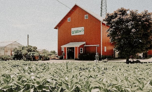 Wiltse's Farm