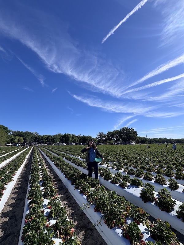Spivey Farms