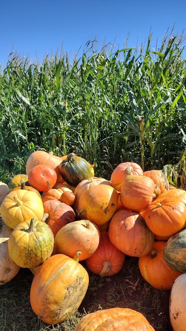 Spearfish Valley Produce