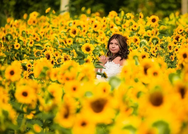 Sunset Berry Farm (Fun Park, Market & Community Garden)