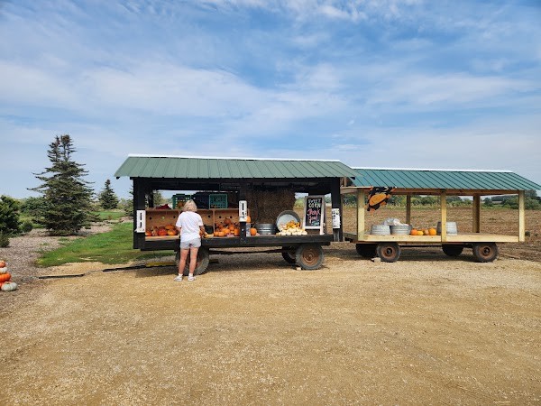 Sweet Corn Stand
