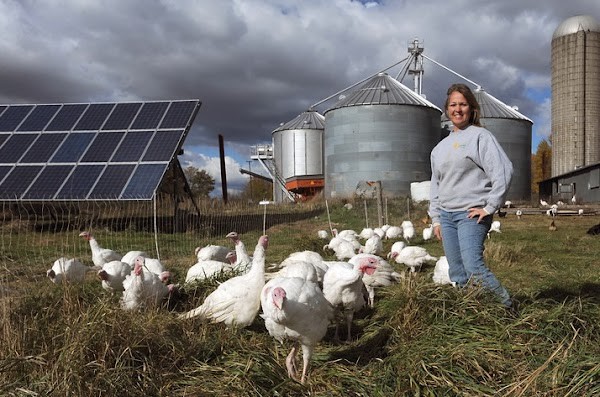 RC Organic Farms