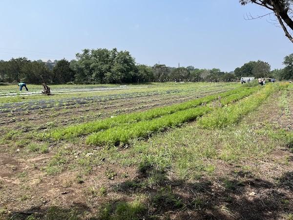 Isle Acre Farms