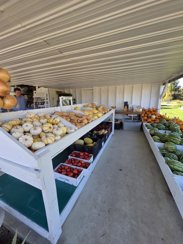 Amish Produce Stand veggies/chickens