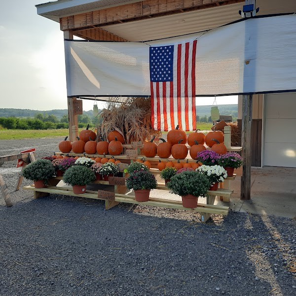 The Roadside