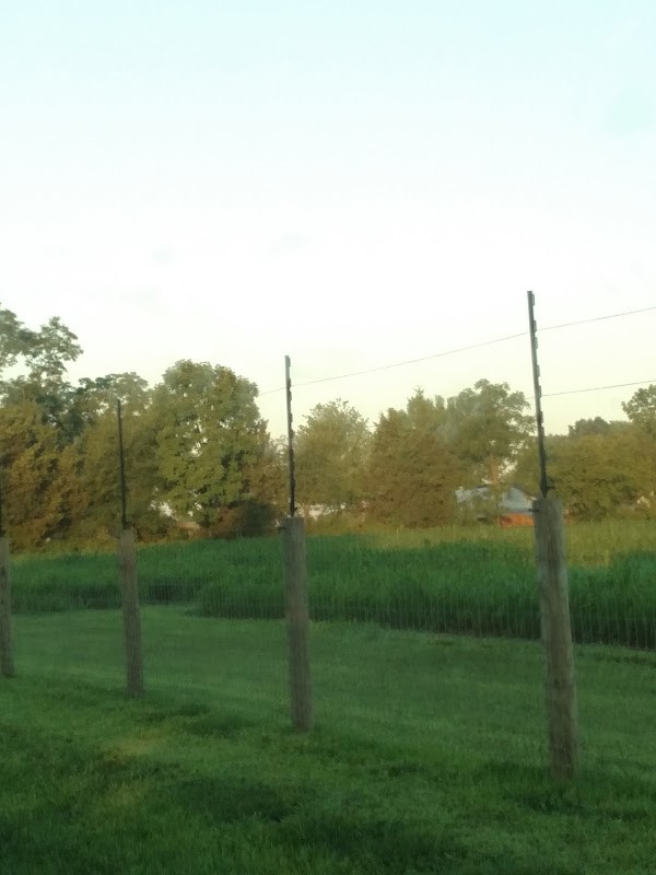 Detweiler Homestead Farm