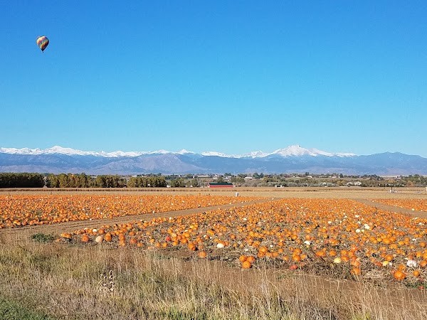 Anderson Farms