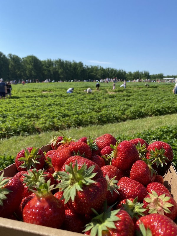 Larriland Farm