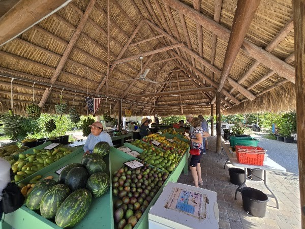 Pine Island Tropical Fruit Market