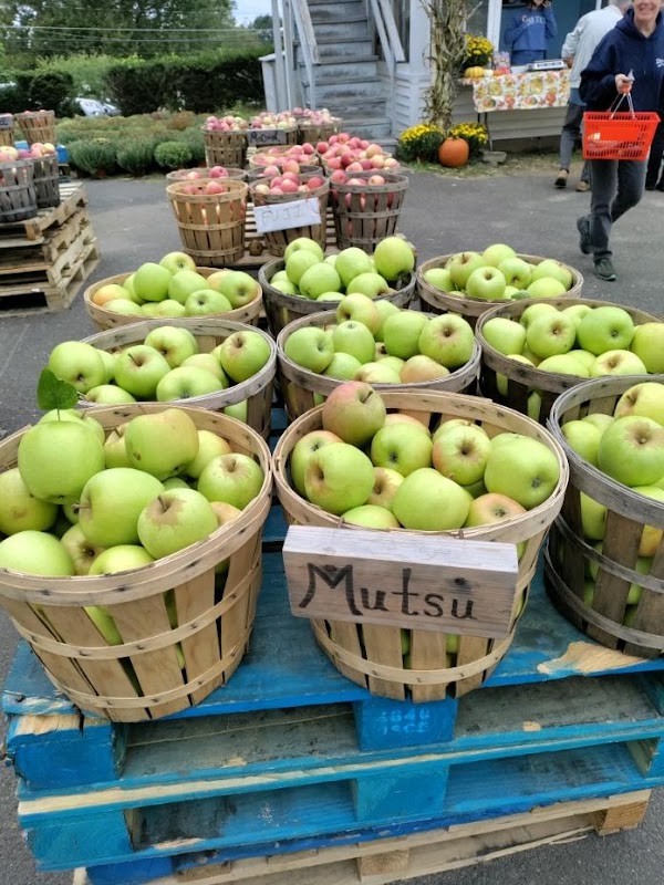 Dondero Orchards