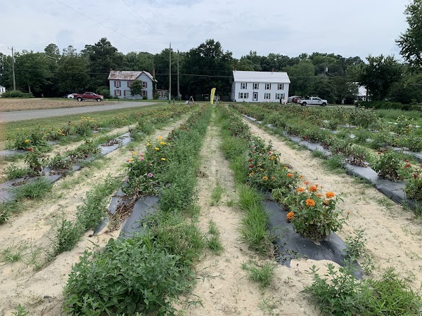Merryvale Farm