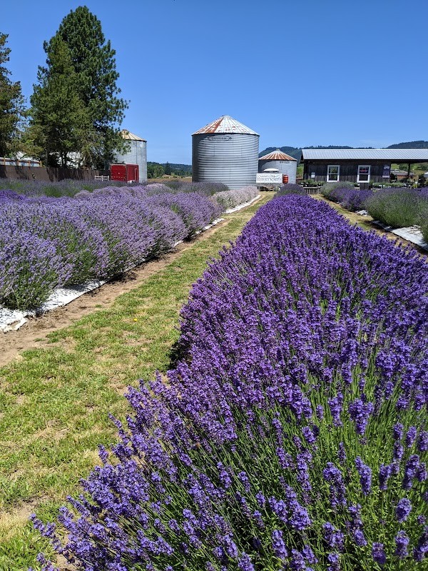 Chehalem Flats Farm Market