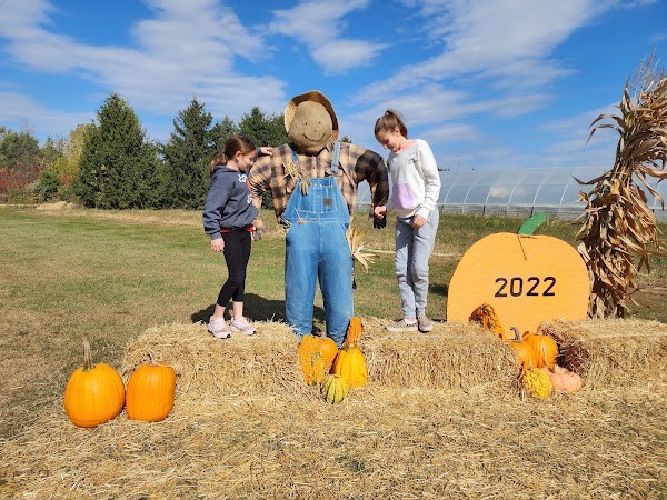 29th Street Farm Stand