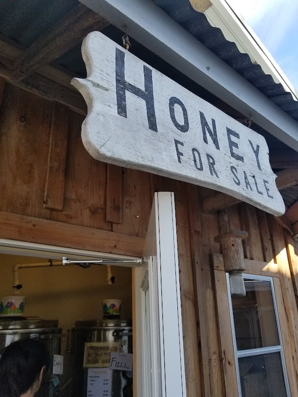 Bayou Country Honey