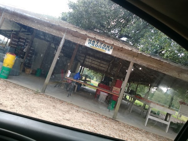 Hatton Farms Highway 92 spurger Texas,