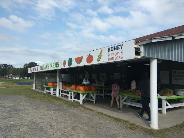 Bellamy Farms