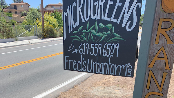 Fred's Urban Farm- Microgreens