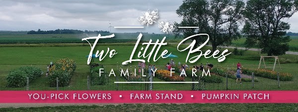 Two Little Bees Family Farm | You-Pick Flowers | Pumpkin Patch | Farm Stand
