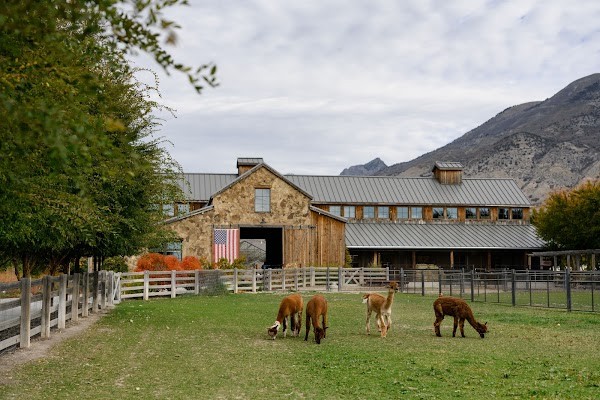 Snuck Farm