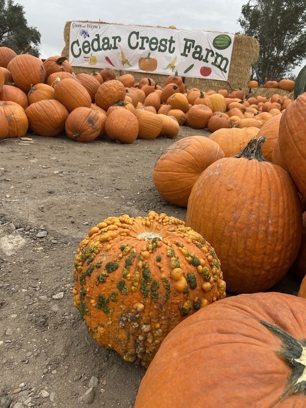 Cedar Crest farms