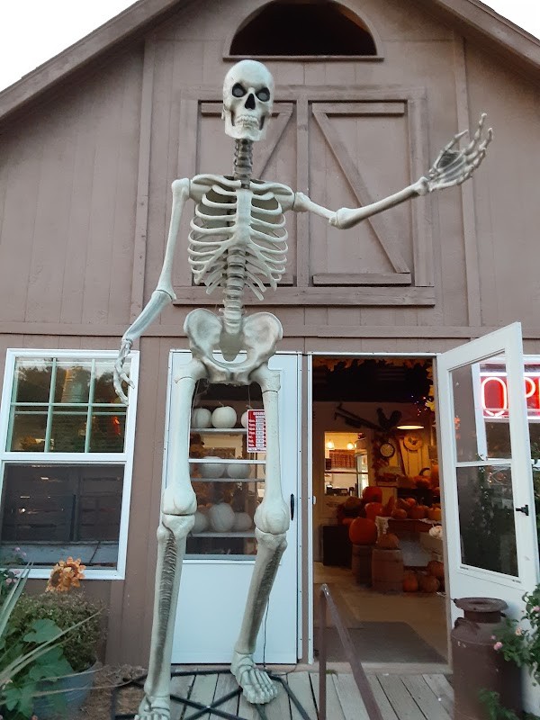 McKenna Family Farm