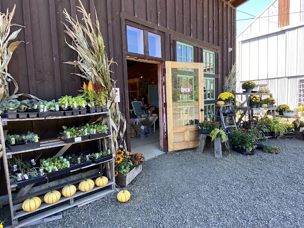 Farmer Creek Marketplace