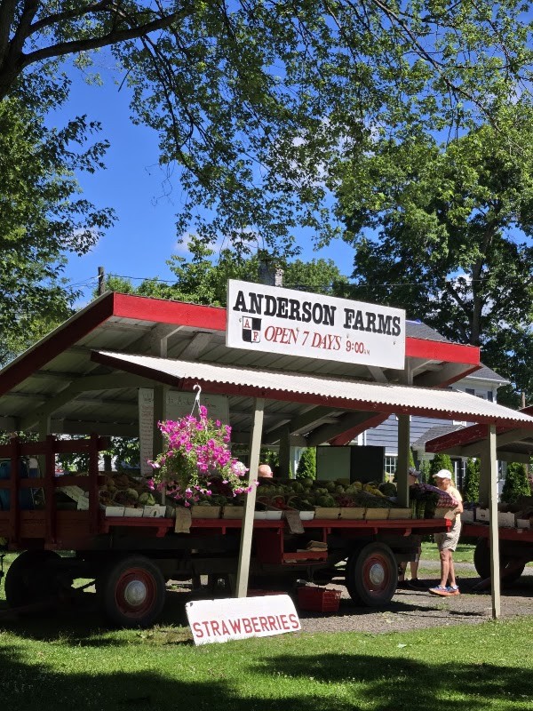 Anderson Farms
