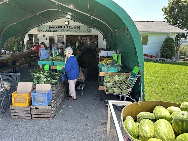 Bill's Farm Market