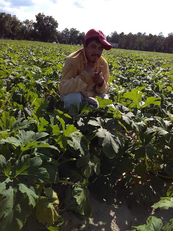 Clayton Rawl Farms