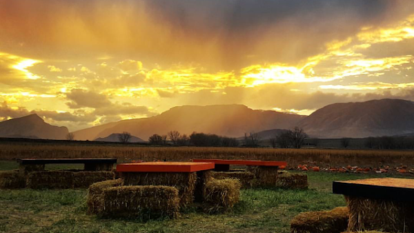 Gallagher's Corn Maze and Pumpkin Patch