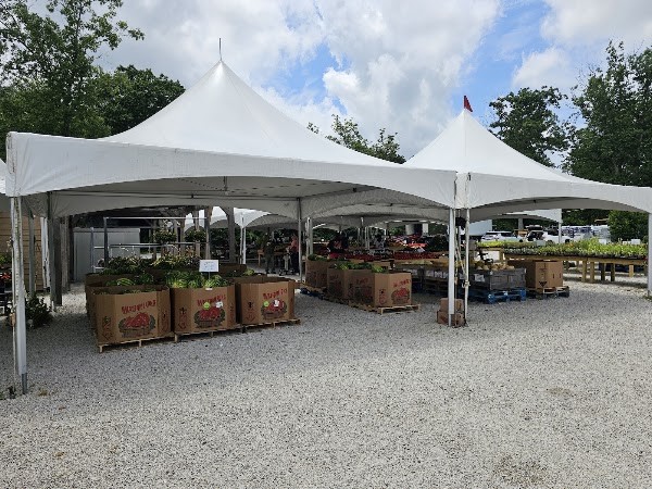 Fiorentino Farms