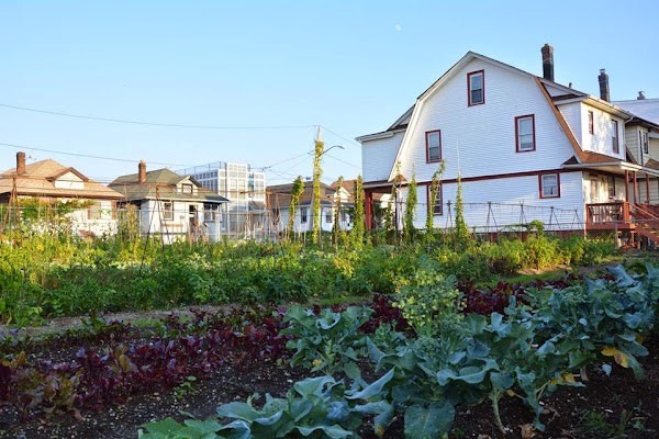 Edgemere Farm