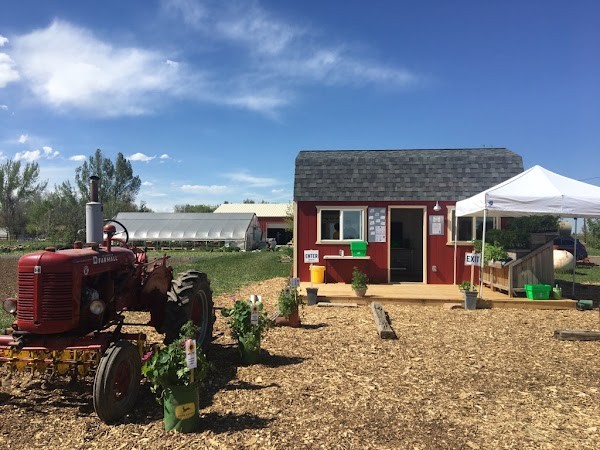 Native Hill Farm