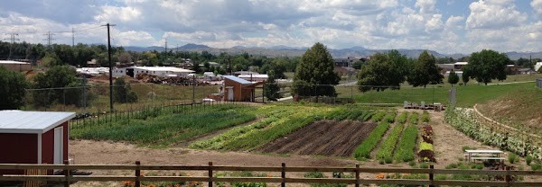 Sprout City Farms