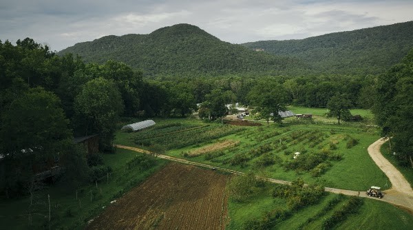 Sequatchie Cove Farm