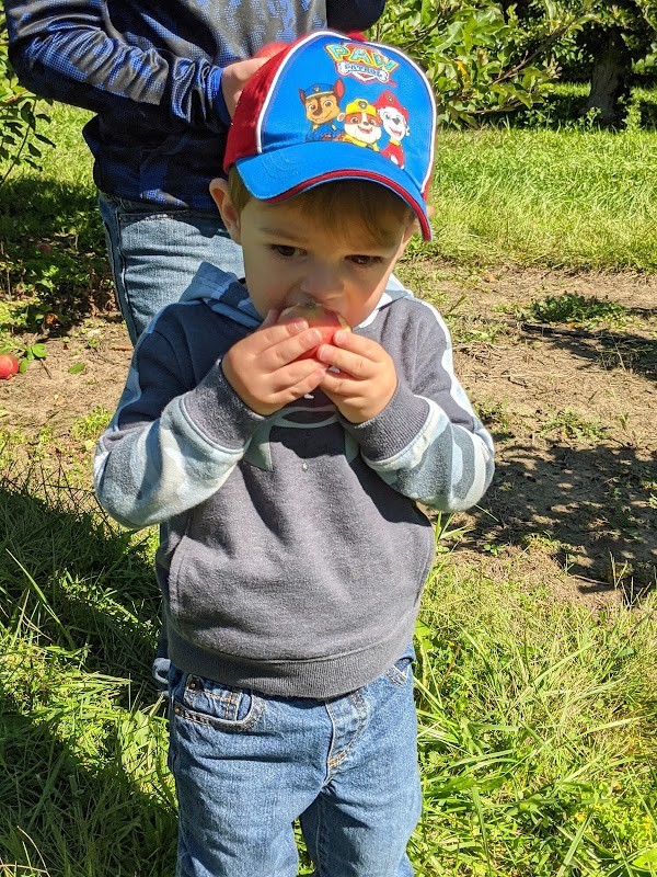 Smith's Fruit Farm