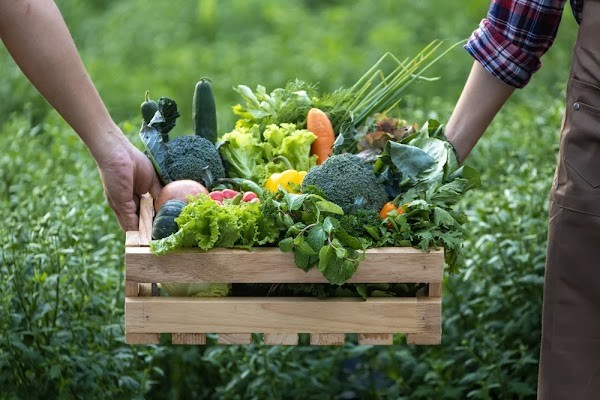 Grow Girl Organics Arvada Farm