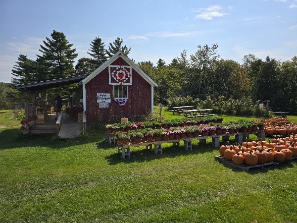 Chandler Pond Farm